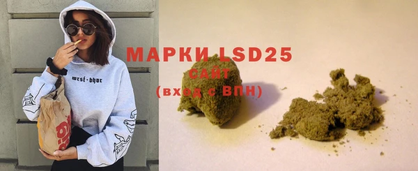 индика Вязники