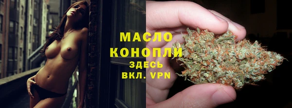 молекула духа Горнозаводск