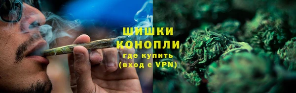 прущие крисы Горняк