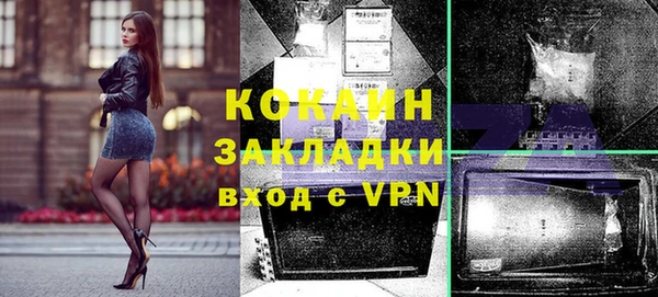 индика Вязники