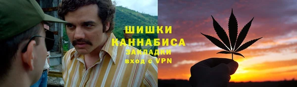 прущие крисы Горняк