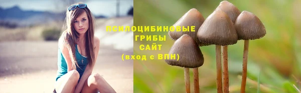 молекула духа Горнозаводск