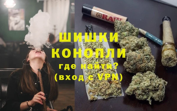 прущие крисы Горняк