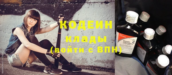 прущие крисы Горняк