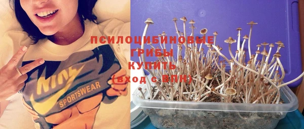 молекула духа Горнозаводск