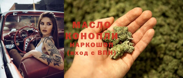 индика Вязники