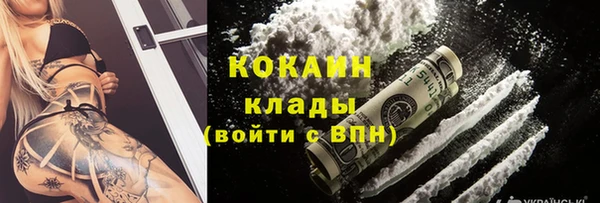 молекула духа Горнозаводск