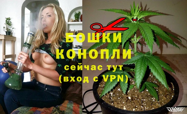 прущие крисы Горняк