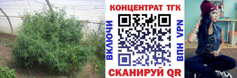 ТГК гашишное масло  Дальнереченск 